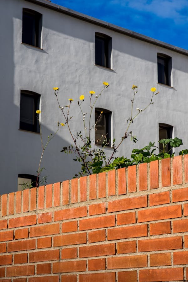 6 stratégies pour booster les profits d'un immeuble de rapport